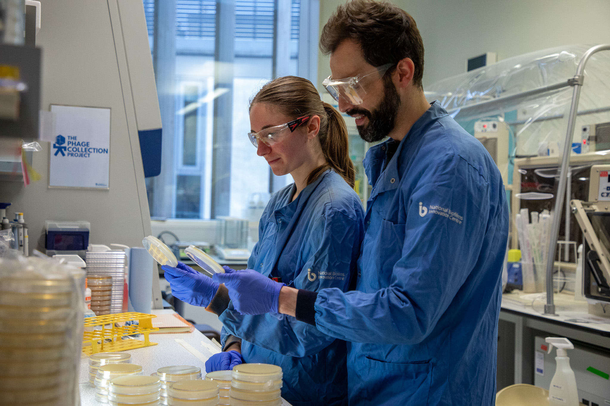Two scientists wearing blue lab coats, safety goggles, and purple gloves work together in a laboratory. They are examining stacks of petri dishes on a bench. The lab is bright and filled with equipment, with a sign for 