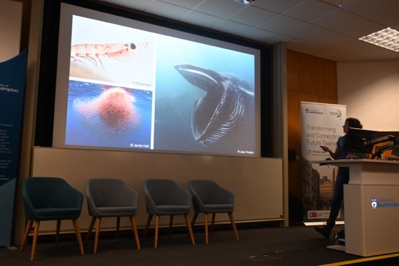 Dr Julie Mestre on how whales and fisheries compete for krill