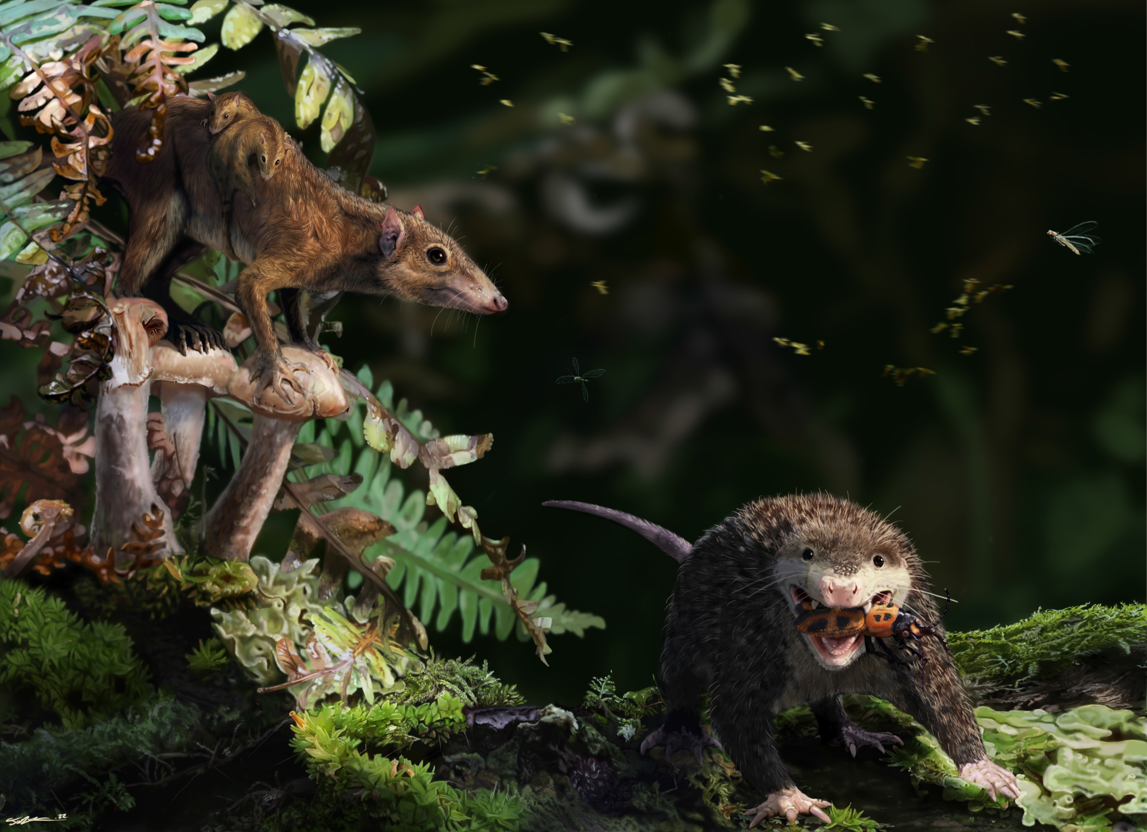 a prehistoric scene with two small mammal-like creatures in a lush, dense forest environment. On the left, a brown, rodent-like animal is perched on a large mushroom, with two smaller creatures riding on its back. This animal has a long snout and alert eyes, suggesting it’s cautiously observing its surroundings. To the right, another similar but more robust creature is on the forest floor, holding a large insect in its mouth, its eyes focused forward, and its stance aggressive as if protecting its catch. The background is filled with green ferns, moss, and other foliage, giving a sense of a moist, vibrant ecosystem.