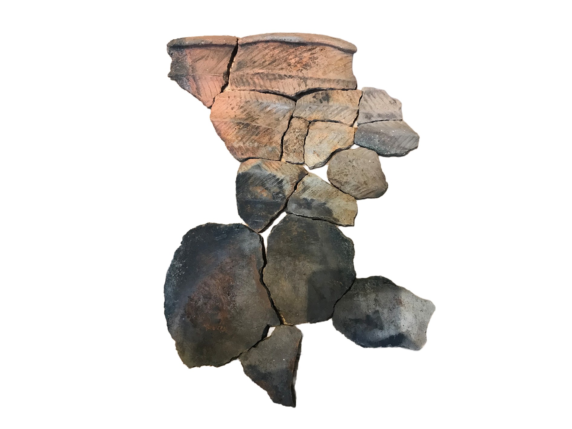 Several pieces of a broken Neolithic pot laid alongside each other on a white background. 