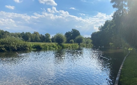 A tranquil scene of a waterway bordered by grass and trees under a blue sky with clouds.