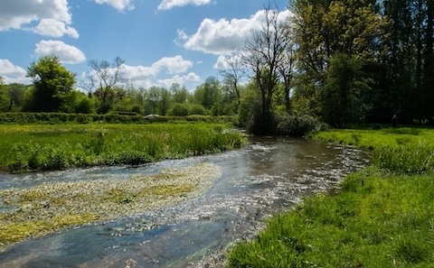 A serene river flows through a lush green landscape under a blue sky with white clouds.