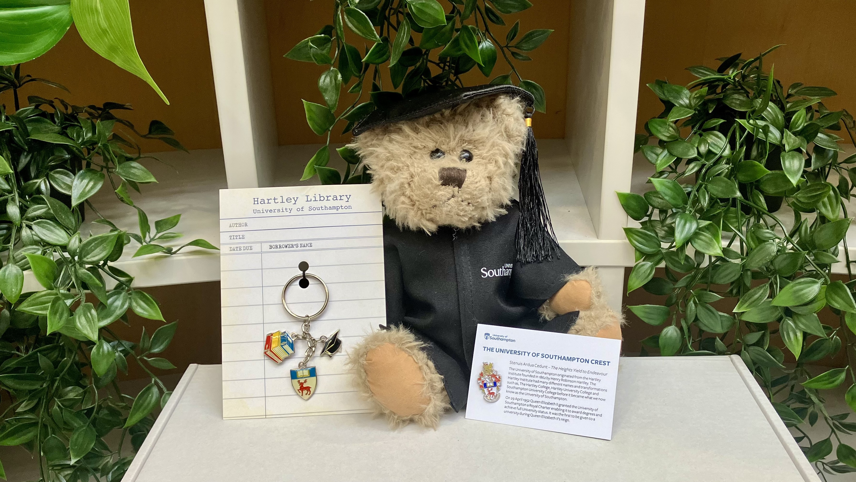 Hartley bear sitting on a table with the university keyring and pin.