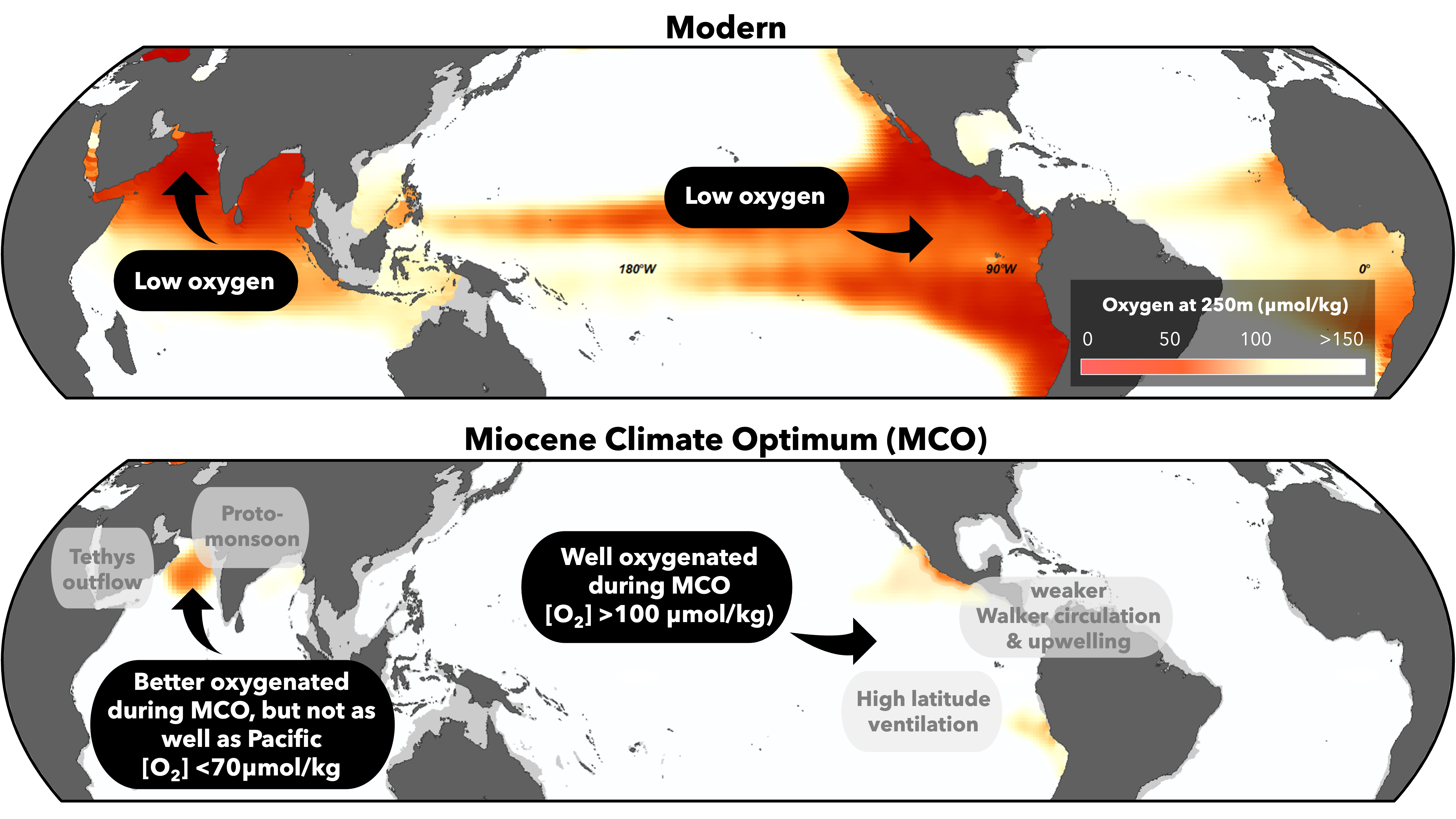 Comparative map of modern and Miocene Climate Optimum ocean oxygenation levels, with color scales indicating oxygen content at 250 meters.