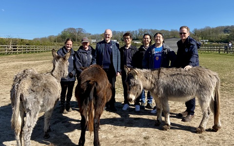Group of people stood in a field, with three donkeys in the foreground