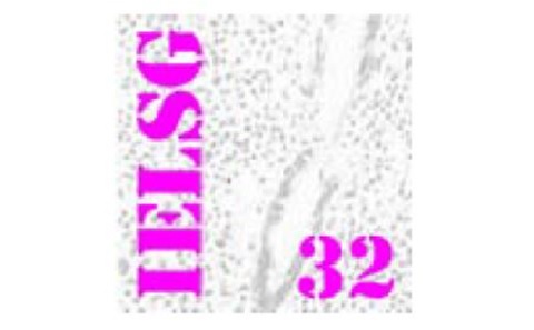 IELSG-26 Logo