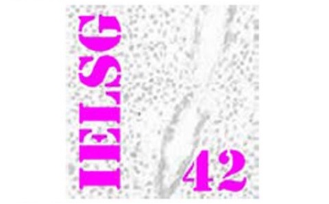 IELSG-26 Logo