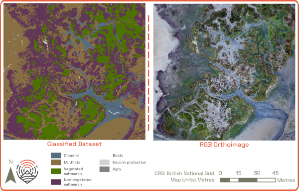Classified dataset identifying some of the broad land cover types at the site
