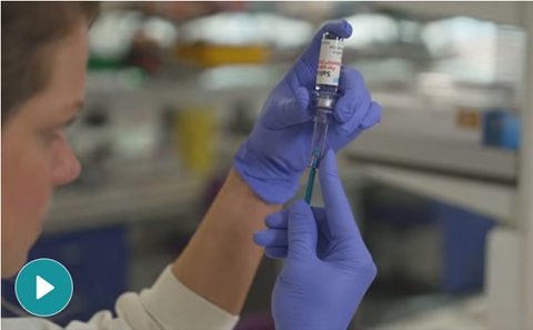 Image alt text placeholder