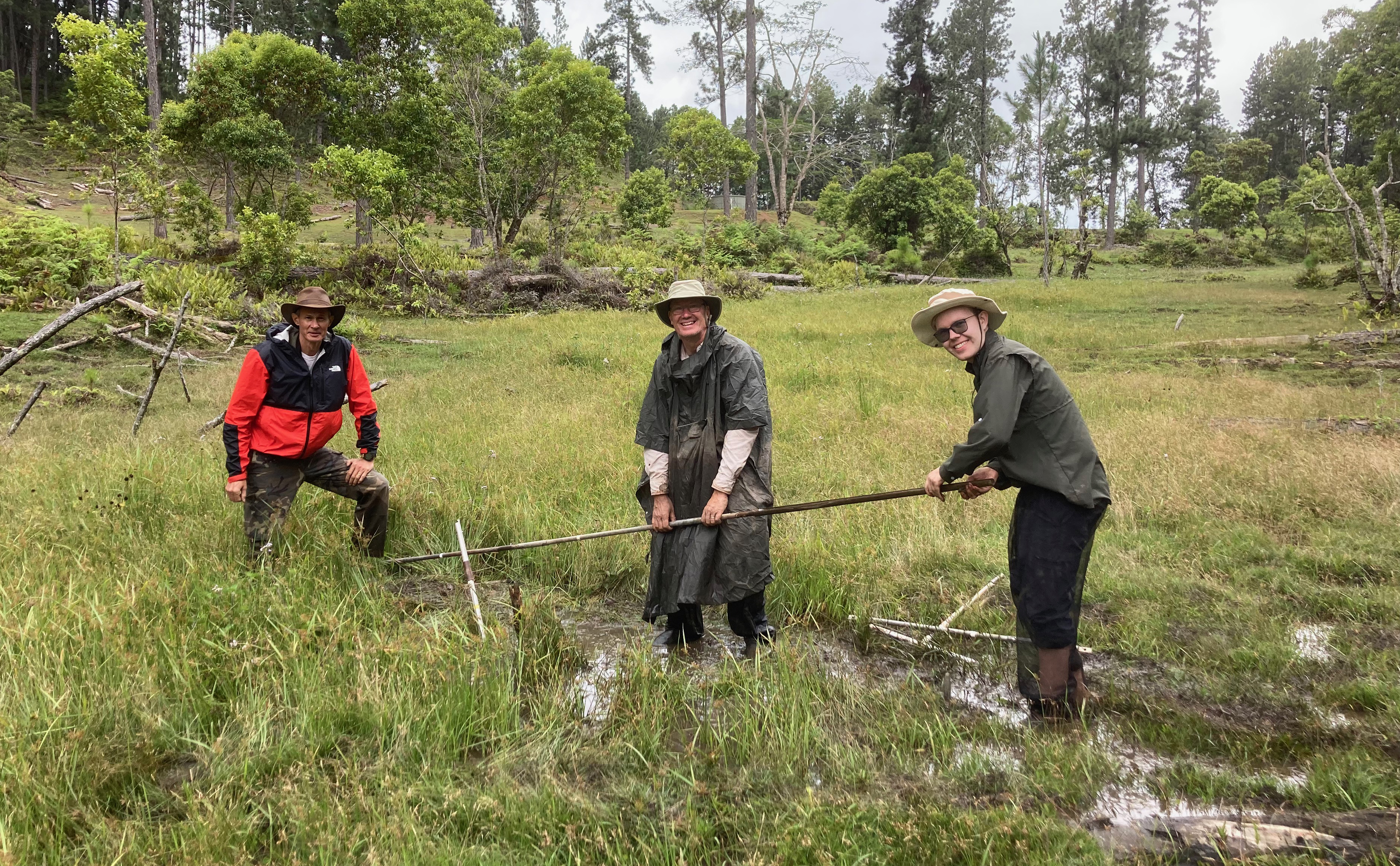 Three people stand in a grassy, marshy area with trees, holding a long stick together.