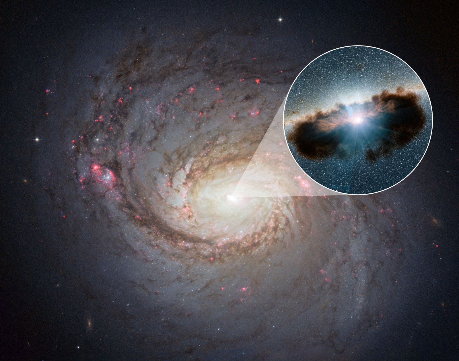 Supermassive black hole hidden behind gas and space dust