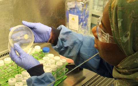 A scientist wearing a blue lab coat, blue gloves, clear goggles and a blue hat holds a petri dish behind a glass screen