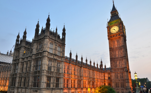 Image of parliament 