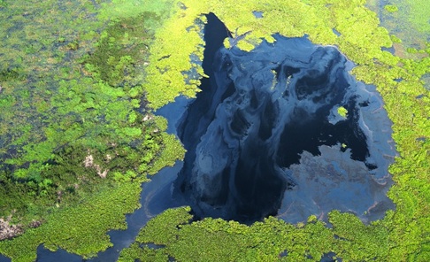 Pesticide sheen on the surface of Tonlé Sap Lake.