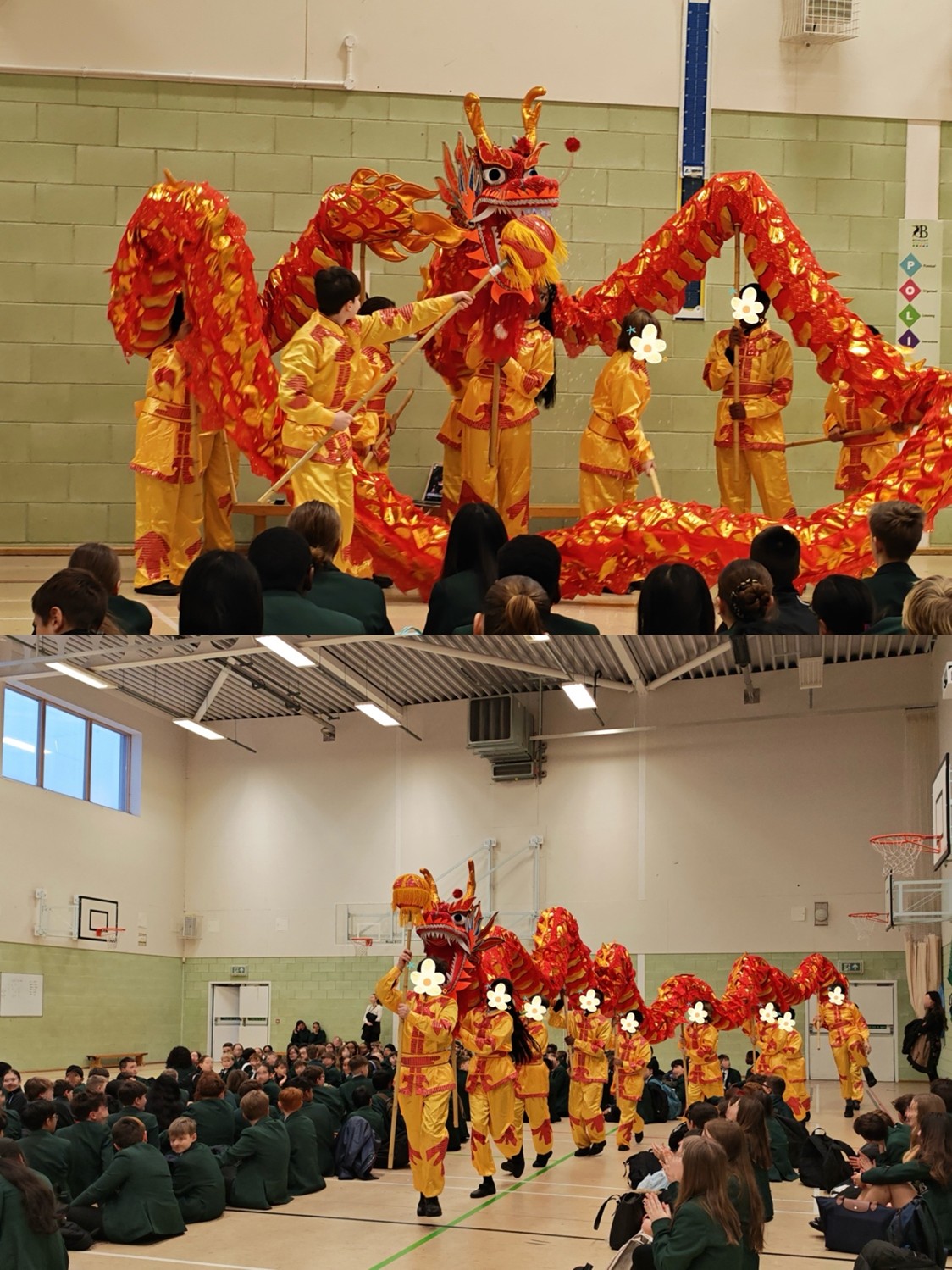 Students in a school hall watch a vibrant dragon dance performance, with performers in yellow costumes holding a long red and orange dragon. The dragon winds across the room as the audience sits on the floor observing.