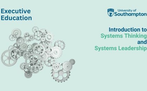 Executive Education Course on Systems Thinking and Systems Leadership