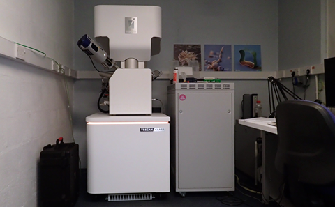 Scanning Electron Microscopy