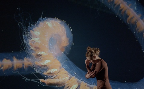 Close up of a deep-sea creature’s tentacles, with a dancer standing in front of the image holding a crouching pose