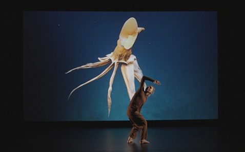 A female dancer wearing brown trousers and top holds a dance move in front of a large screen depicting a close-up of a deep sea octopus