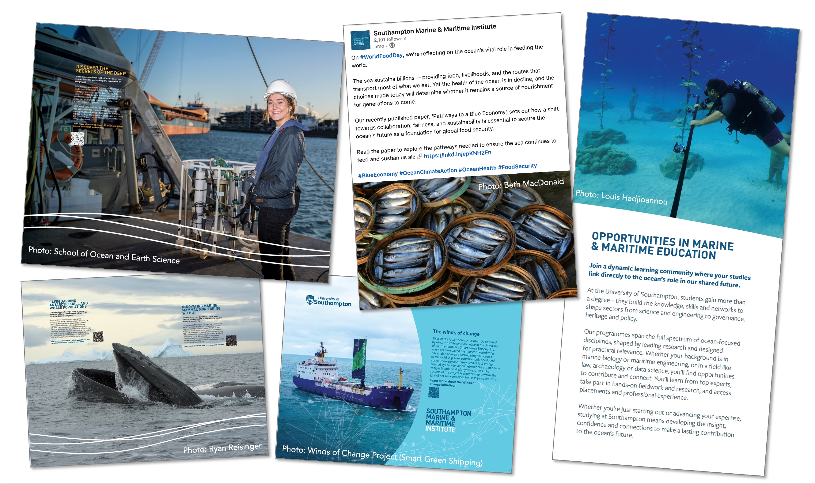 A montage of images showing suggestions for competition entries.