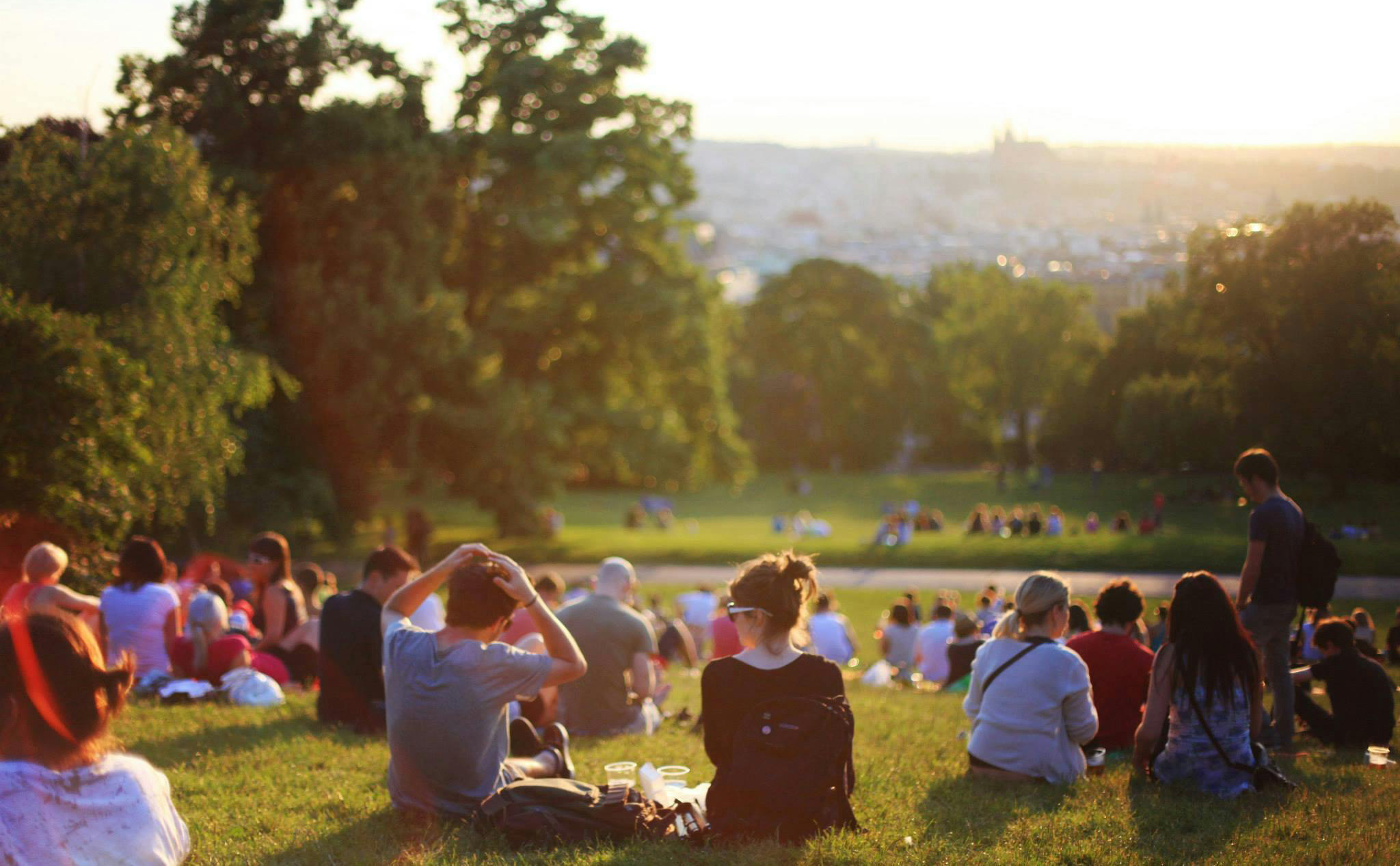 People sat and stood on a hill in a park with trees and grass and hazy sun in the distance. 