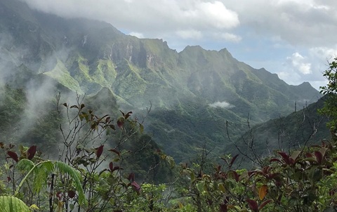 Lush green forest and mountains under a cloudy sky
