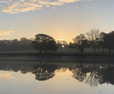 Silhouetted trees at sunrise or sunset with reflections in a calm body of water.