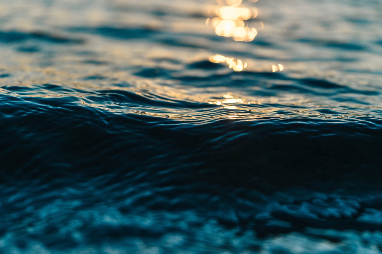 Ocean wave with sunlight glistening on the water
