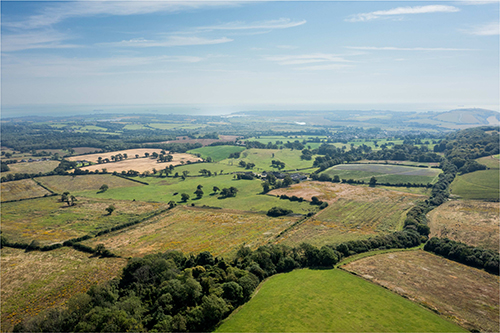 An elevated view over a patchwork of green and brown fields divided by hedgerows, with clusters of trees and distant hills fading into a hazy horizon beneath a lightly clouded sky. 