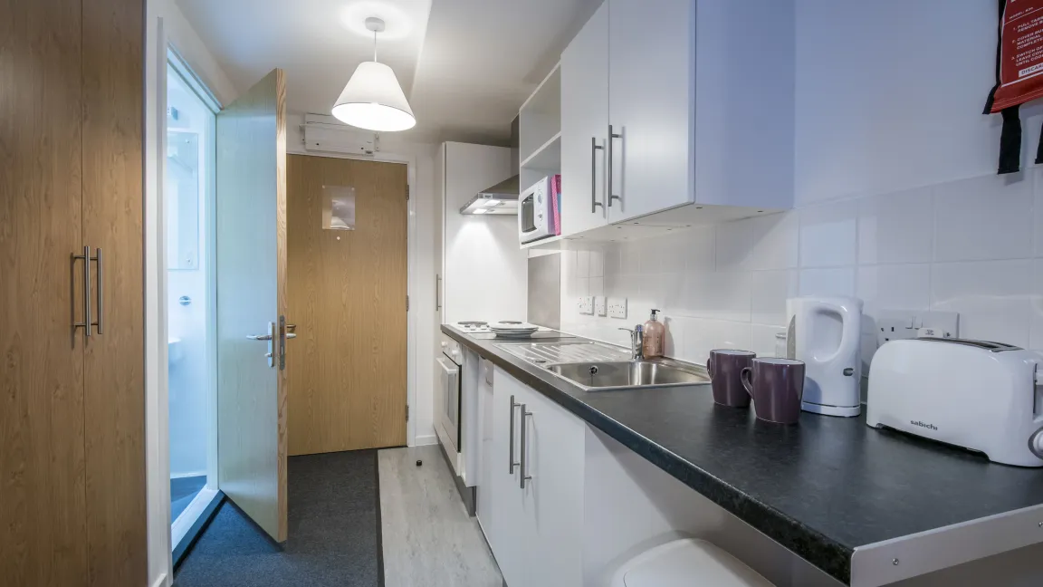 A modern studio flat showing kitchenette and entrance to bathroom.