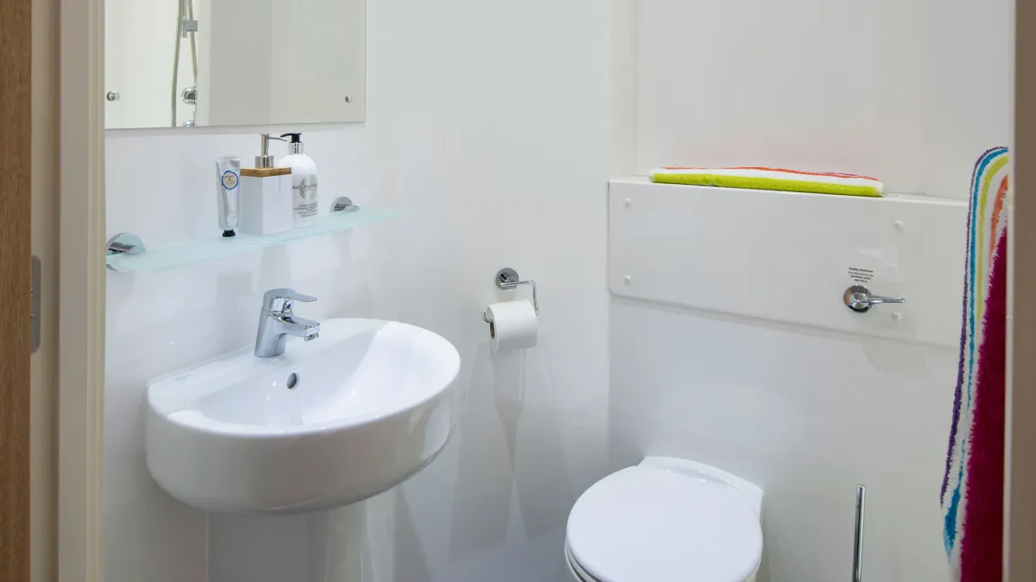 Toilet and wash basin with mirror in a bright, modern bathroom.