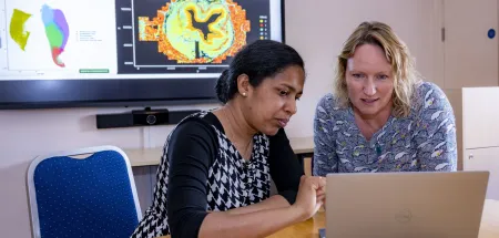 Academics working together
