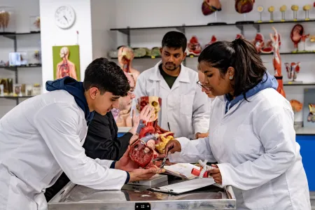 Students learning medicine