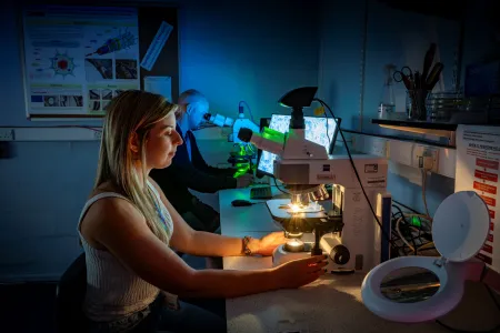 A BIU researcher at a microscope