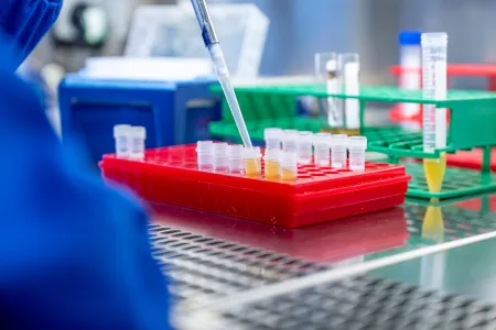 Laboratory pipette transferring yellow liquid into a sample tube held in a red rack.