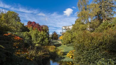 Wide view of Highfield Campus with autumn colours.