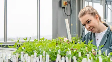 University female student taking measurements of plants
