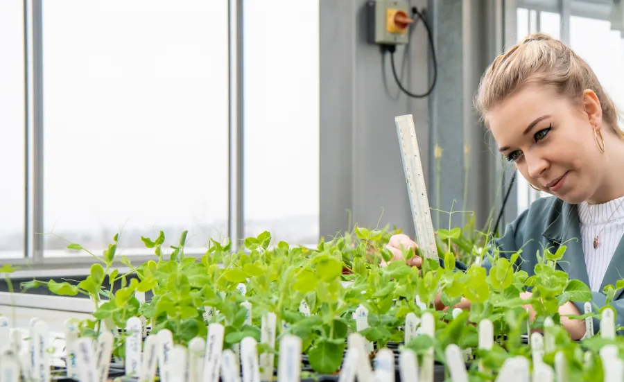 University female student taking measurements of plants