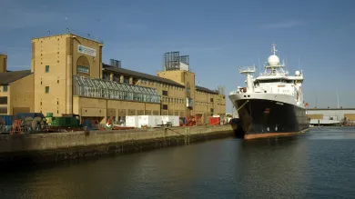 Waterfront Campus and the surrounding docks and boats on a sunny day.