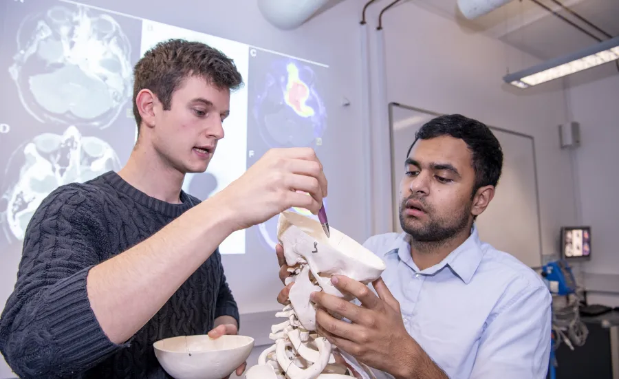 Two students look inside a human skull in the clinical skills suite