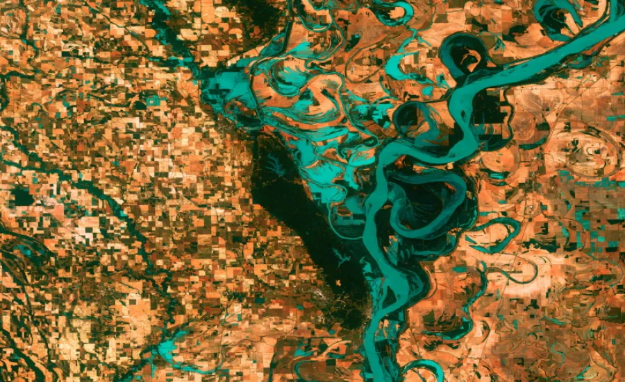 A satellite image of a river delta.