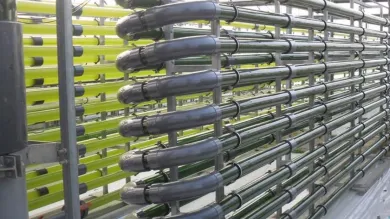 Tubular photobioreactors at the University of Almeida