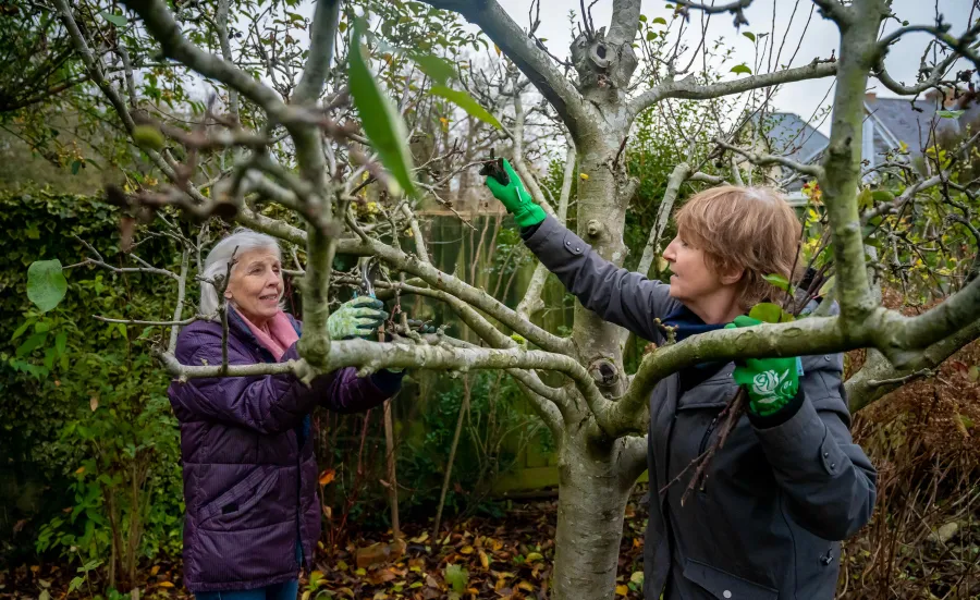 Older people interacting outside