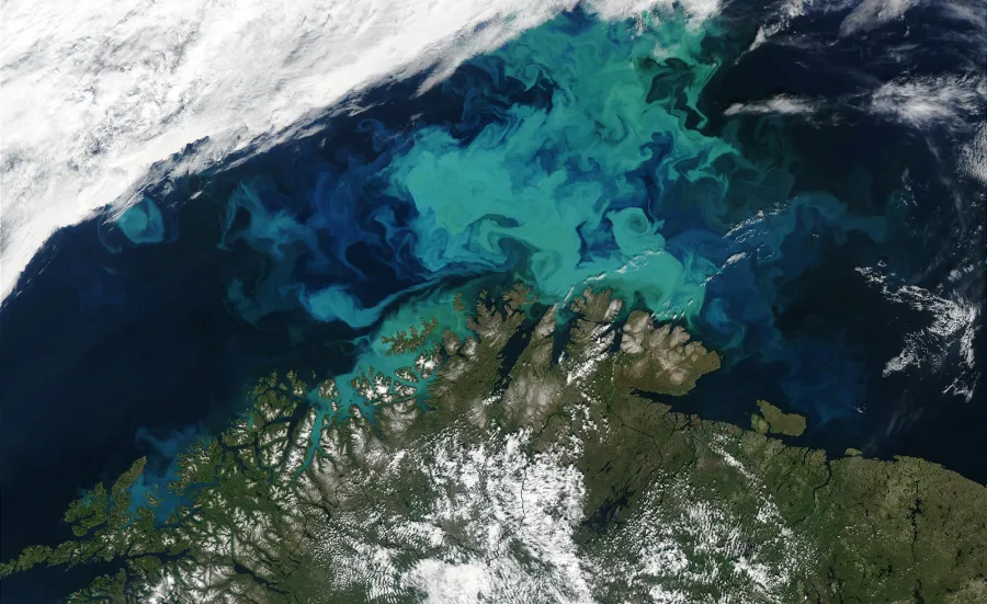 satellite image of the Barents Sea