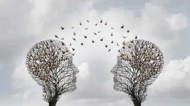 Two head shaped trees with birds flying to each other as a metaphor for teamwork 