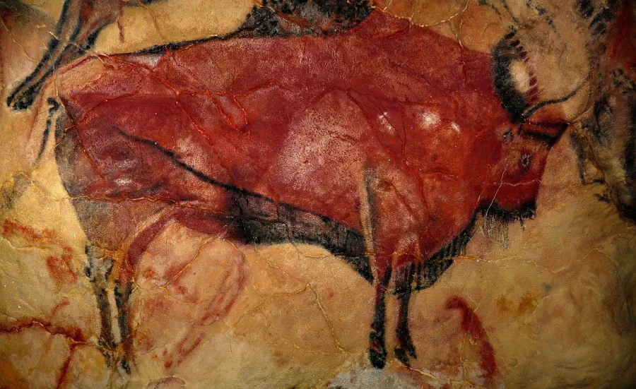 Bison painting at Altamira cave