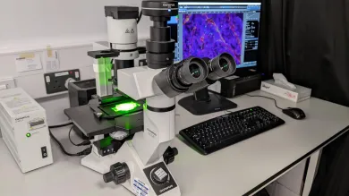 Olympus CKX41 inverted fluorescence microscope