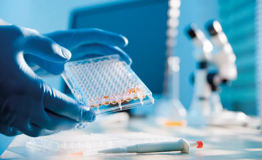 A gloved hand holding a microtitre plate in a lab