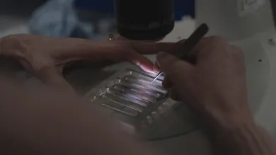 Sample being manipulated under a microscope