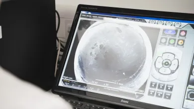 Viewing a microplastic sample in the SEM